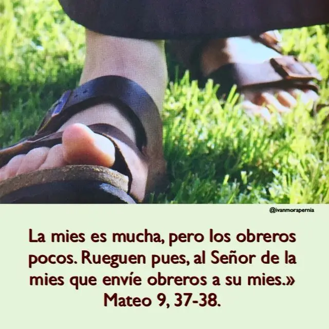 obreros biblia - Como debe ser el obrero de Dios