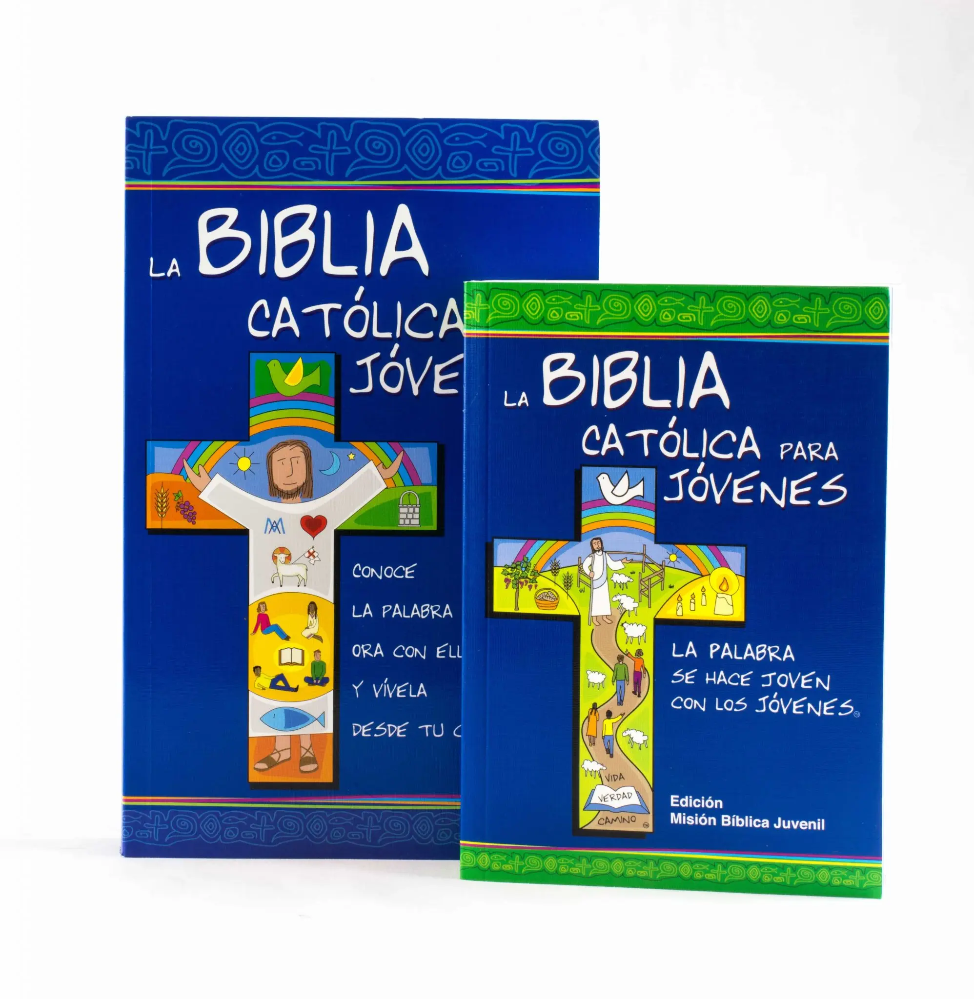 biblia catolica para jovenes - Cómo empezar a leer la biblia catolica para jóvenes