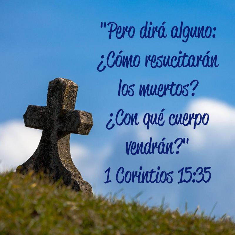 cuerpo glorioso biblia - Cómo es el cuerpo glorificado