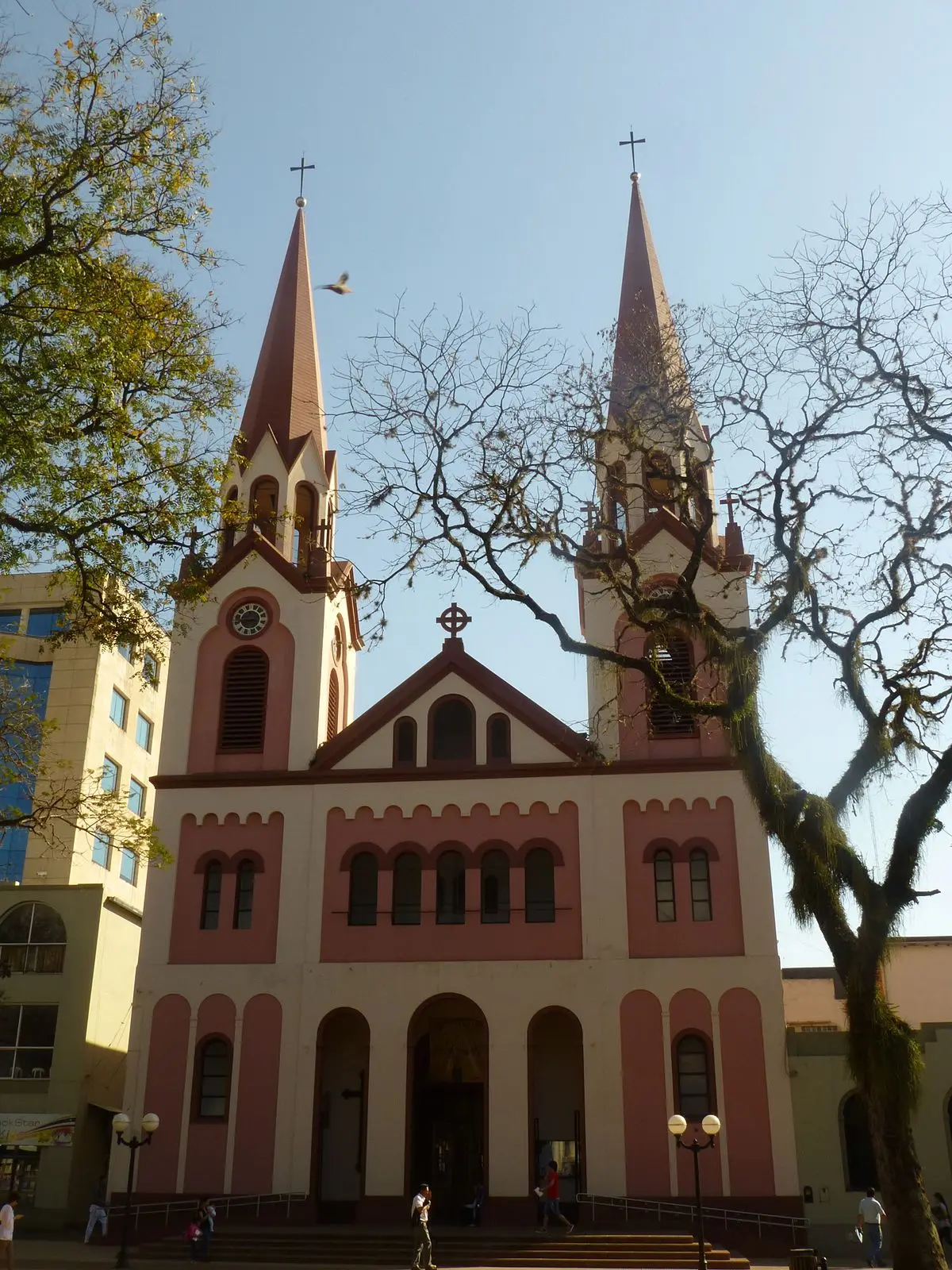 horario de misa los domingos en la catedral - Cómo se llama la Iglesia Catedral de Posadas