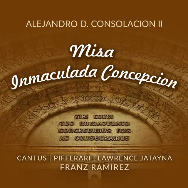 misa concepcion - Cómo se llama la iglesia de Concepción