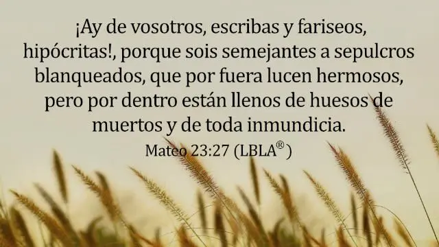 que dice la biblia de los fariseos - Cuál es el pecado de los fariseos