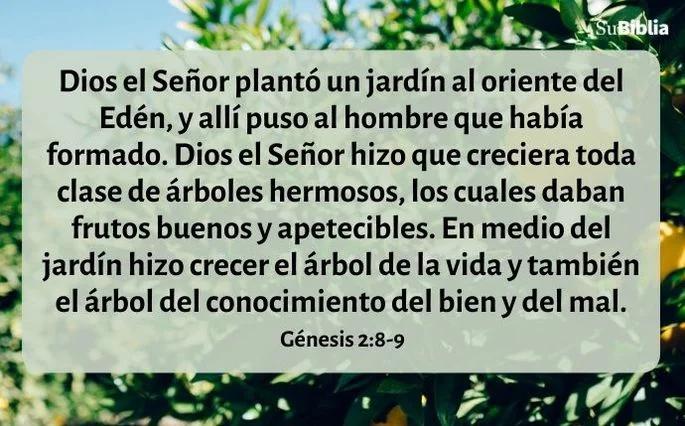 cual es el sentido de la vida segun la biblia - Cuál es el sentido de la vida para Dios