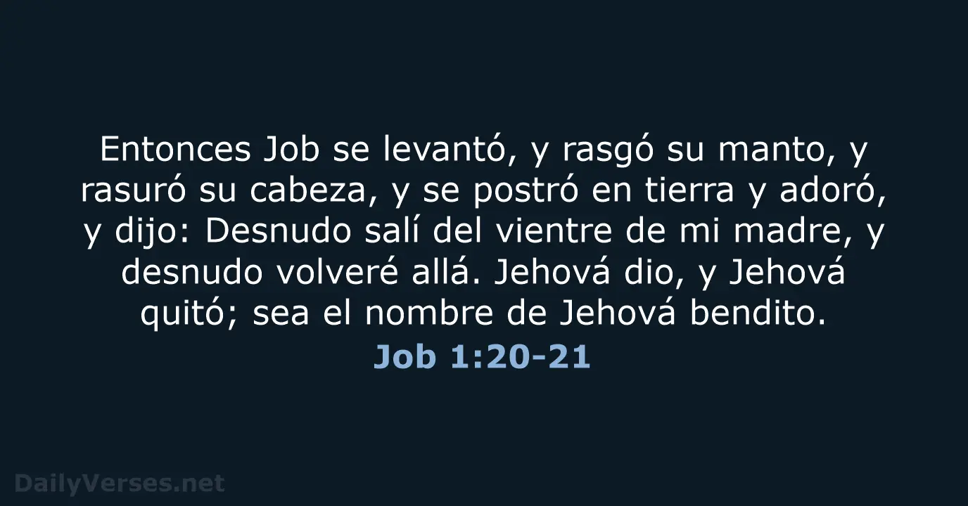 job biblia frases - Cuál es el versiculo de la historia de Job