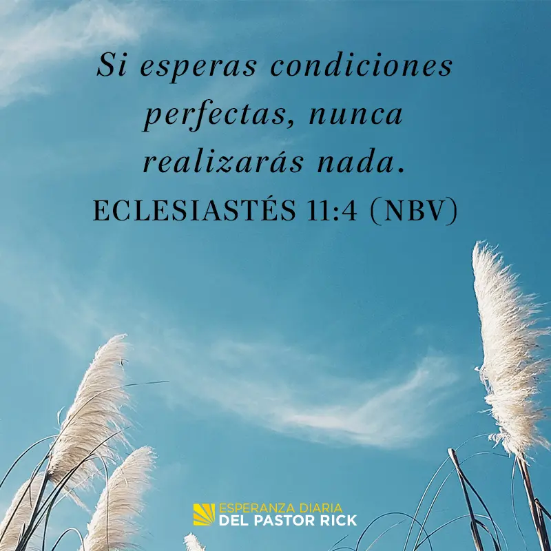 nueva oportunidad biblia - Cuáles son las oportunidades que Dios da