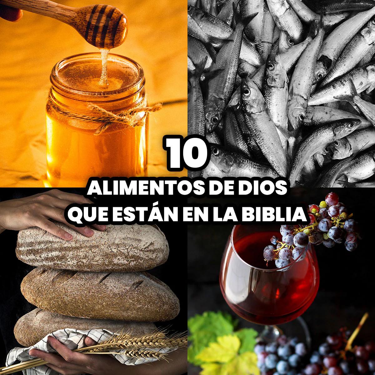 alimentos de la biblia - Cuáles son los alimentos de la Biblia