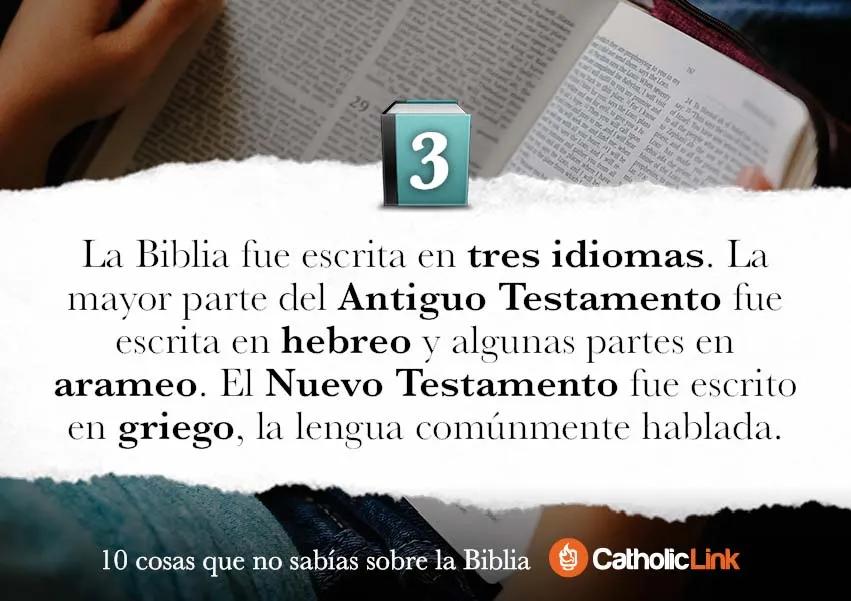 cosas de la biblia interesantes - Cuáles son los datos importantes de la Biblia