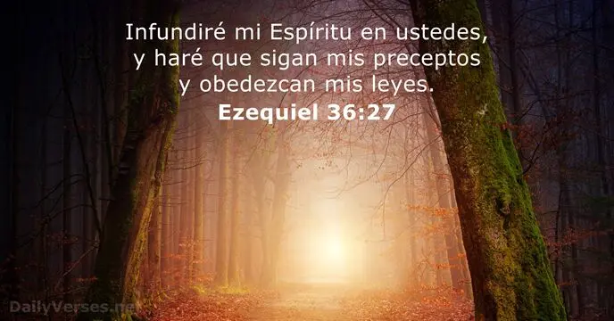 preceptos en la biblia - Cuáles son los preceptos del Señor