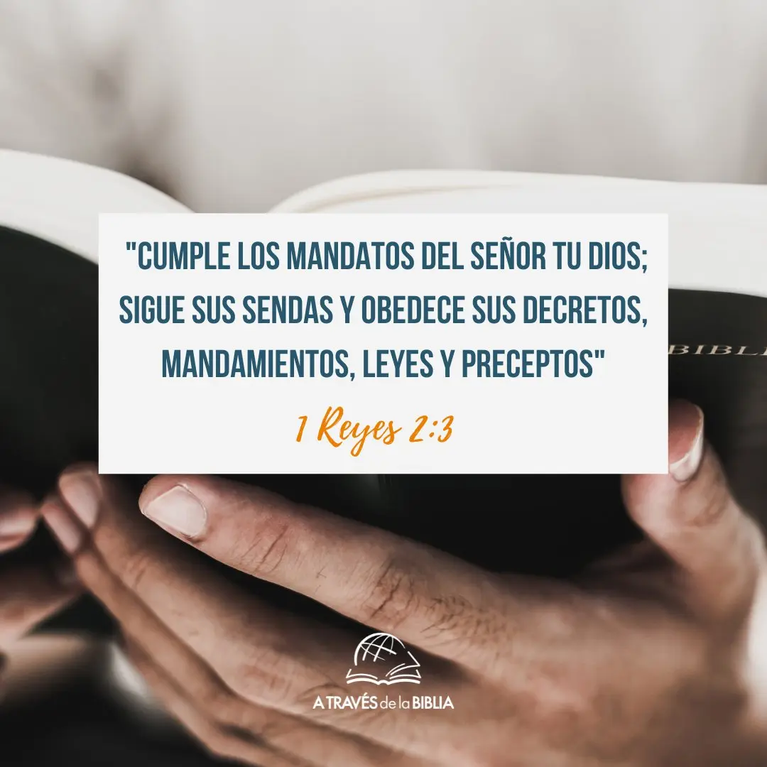 preceptos en la biblia - Cuáles son los preceptos