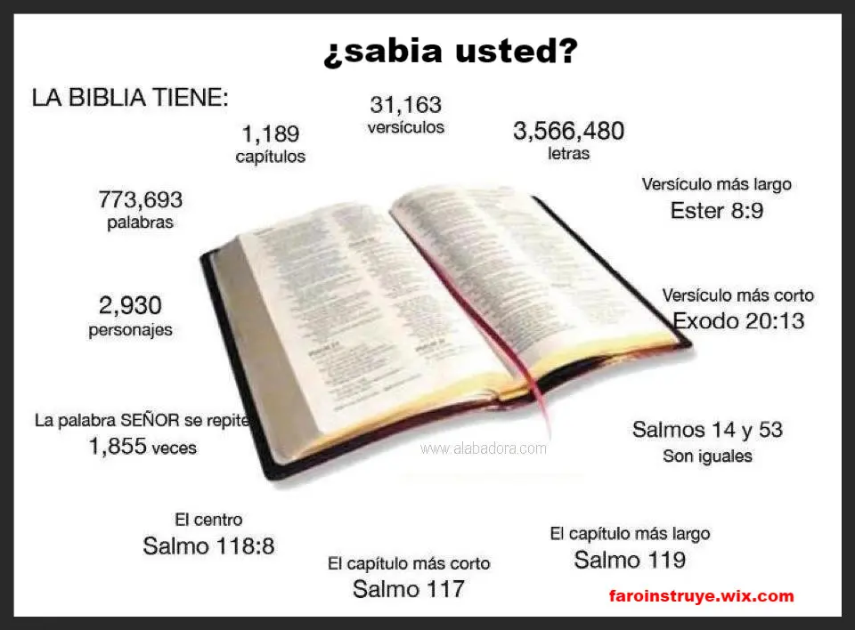 cuantos capitulos tiene la biblia - Cuántos capítulos tiene la Biblia en total