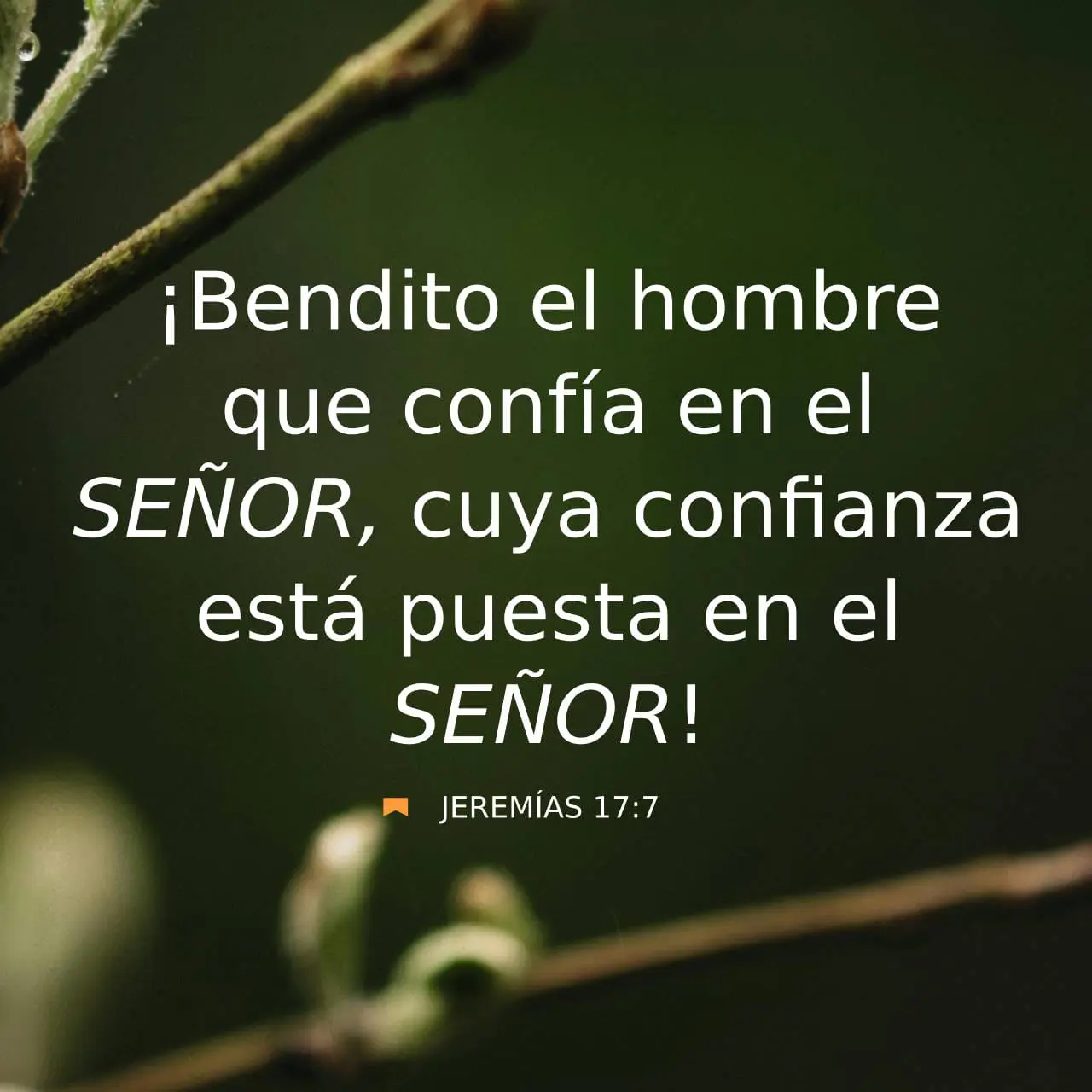 maldito el hombre que cree en el hombre biblia - Donde dice la Biblia Maldito el hombre