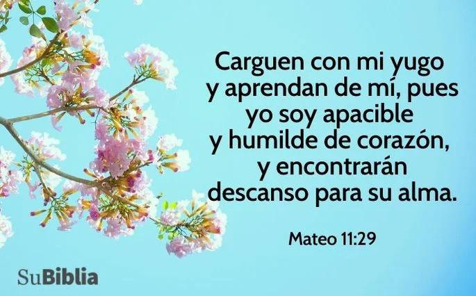 hombre manso en la biblia - Donde dice la Biblia que Moisés era un hombre manso