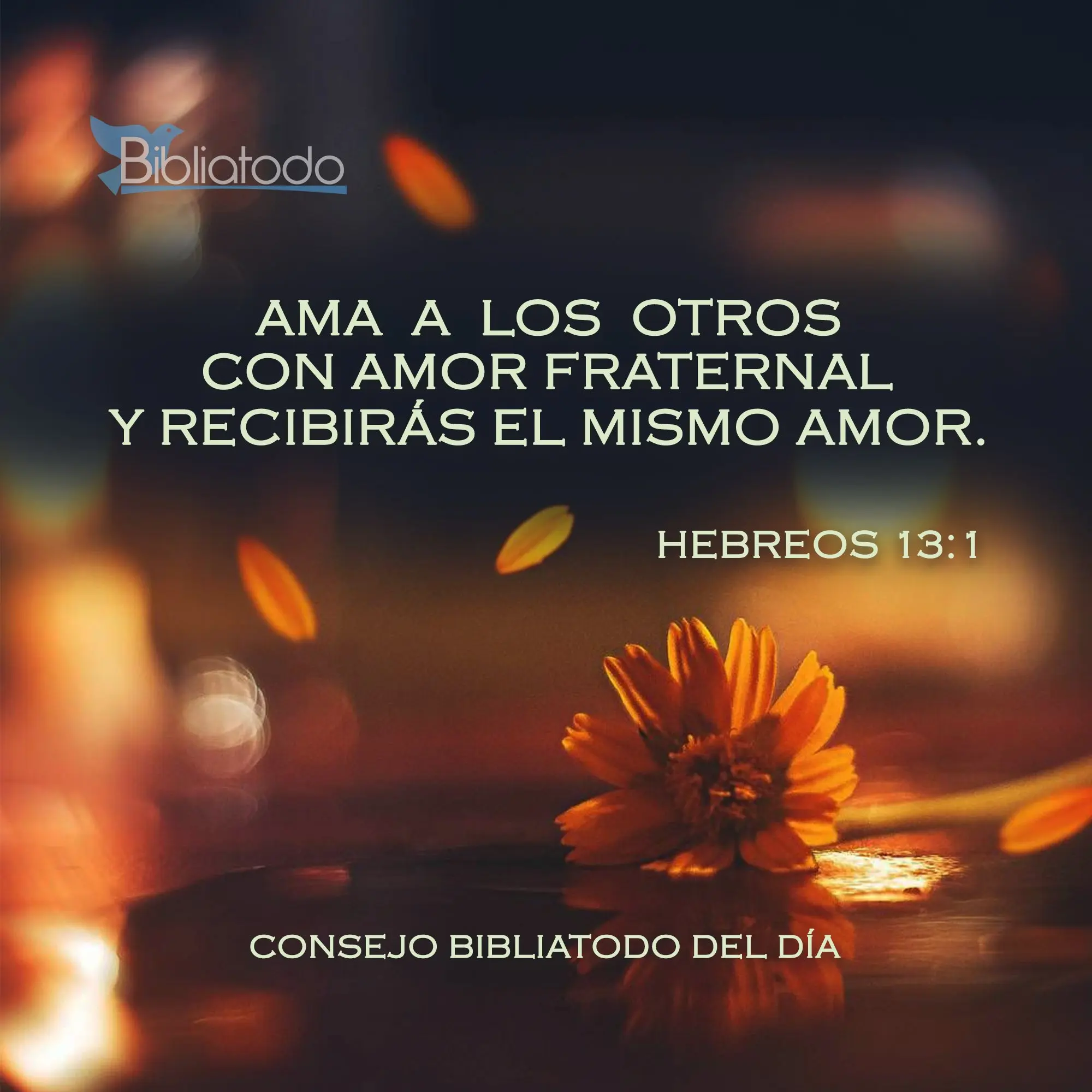 amor fraternal biblia - Donde dice Permanezca el amor fraternal