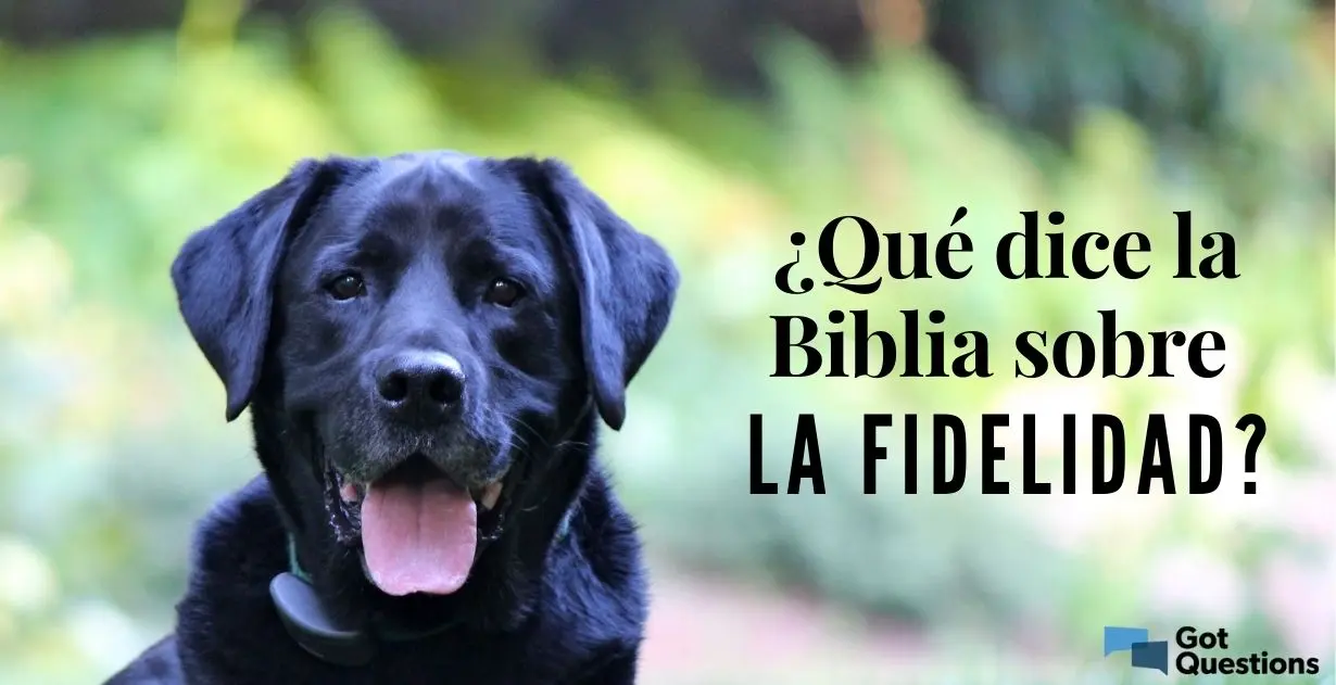 fidelidad en la biblia - Dónde habla la Biblia de ser fiel