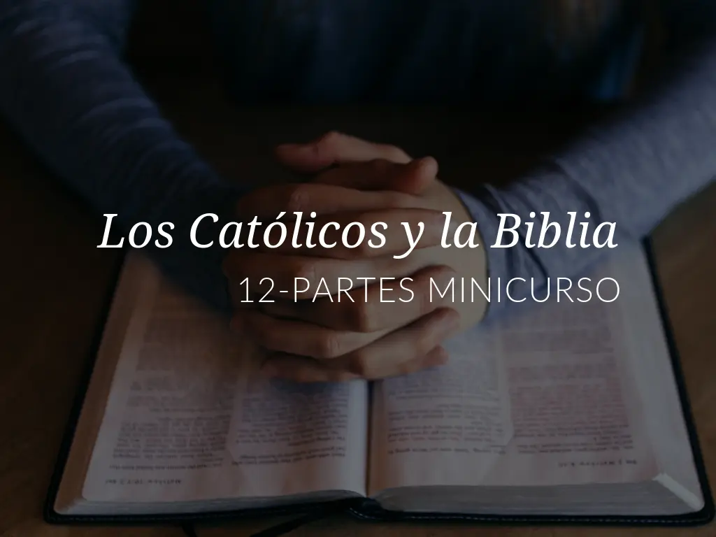 estudiar la biblia catolica en linea gratis - Existe un estudio bíblico católico en línea