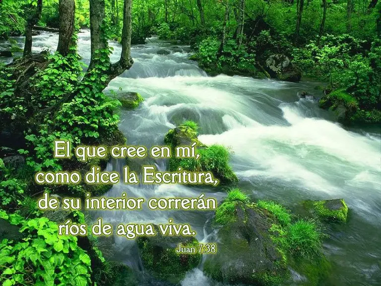 rio de agua viva biblia - Por qué de su interior correrán ríos de agua viva