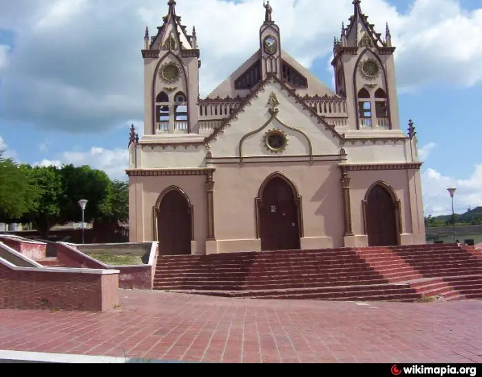 iglesia ovejas - Por qué se compara la iglesia con el rebaño