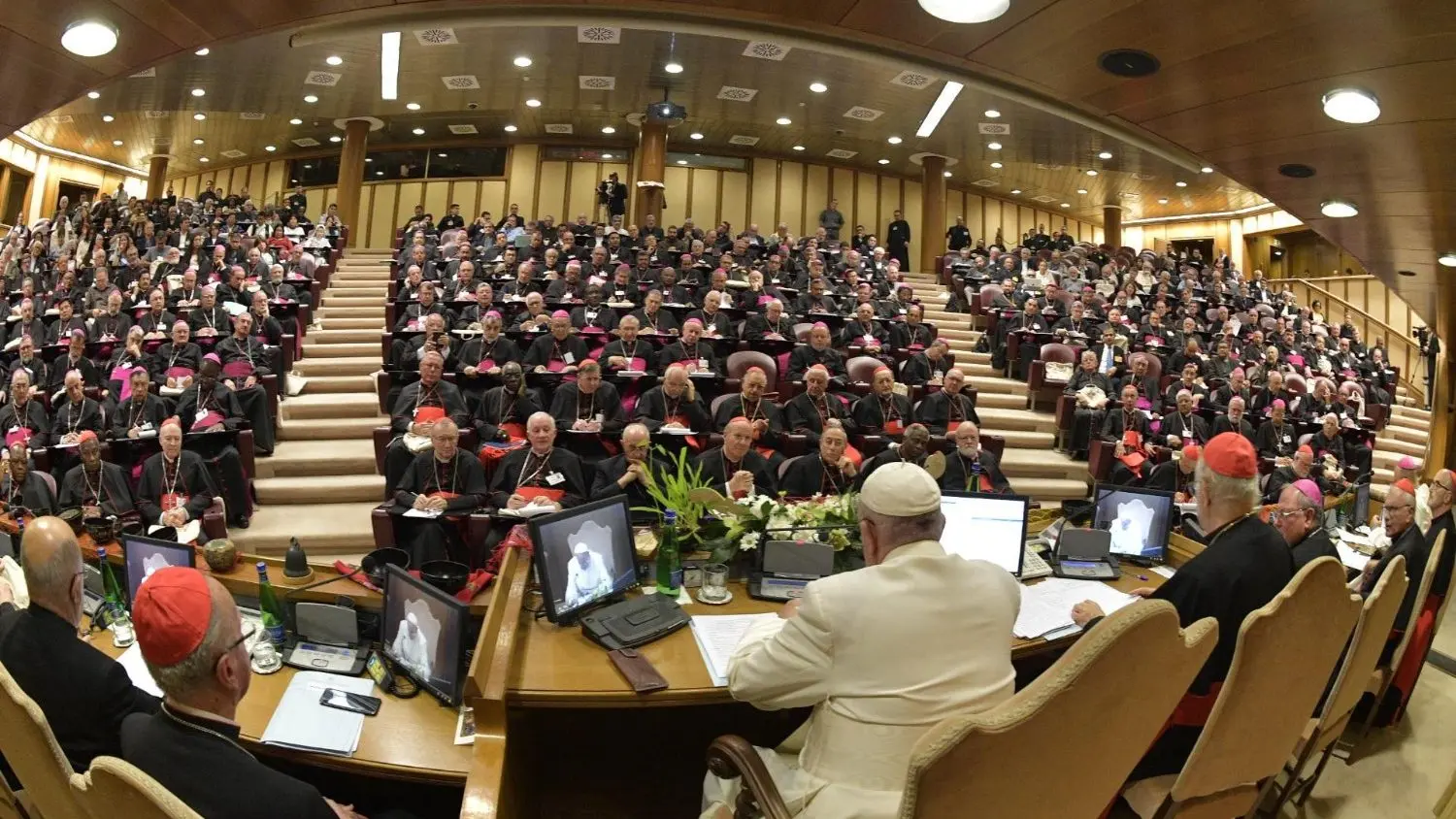 sinodos en la iglesia catolica - Qué busca la Iglesia con el Sínodo