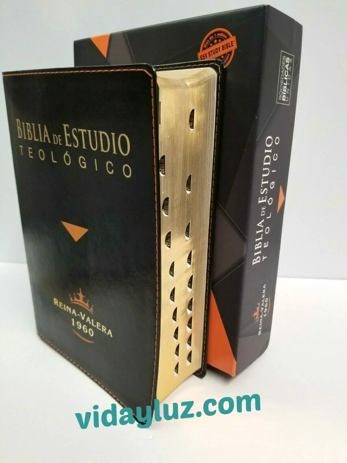 biblia de estudio teologico - Qué contiene la Biblia de estudio teológico