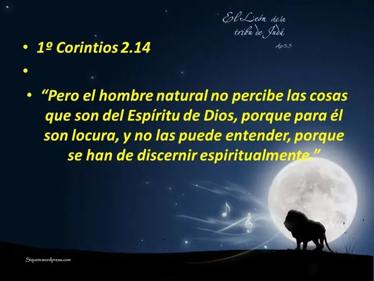 frases polemicas de la biblia - Qué dice 1 Timoteo 2 12