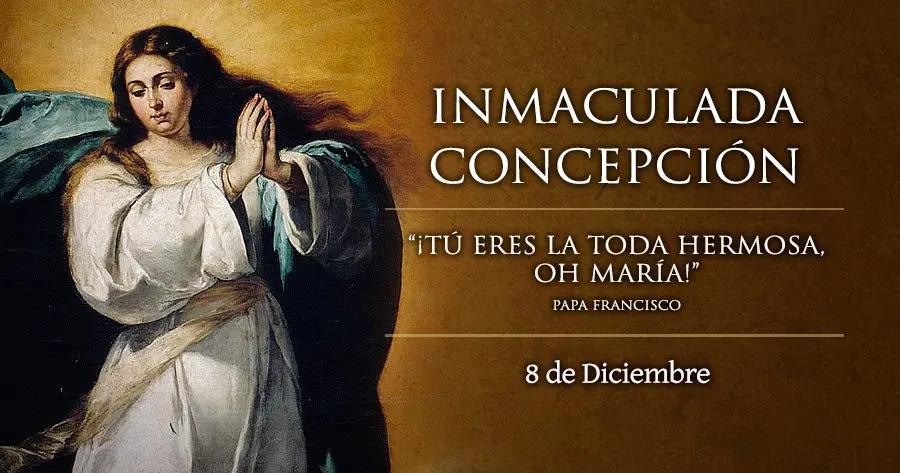 inmaculada concepcion catecismo de la iglesia catolica - Qué dice el numeral 490 del Catecismo de la Iglesia Católica