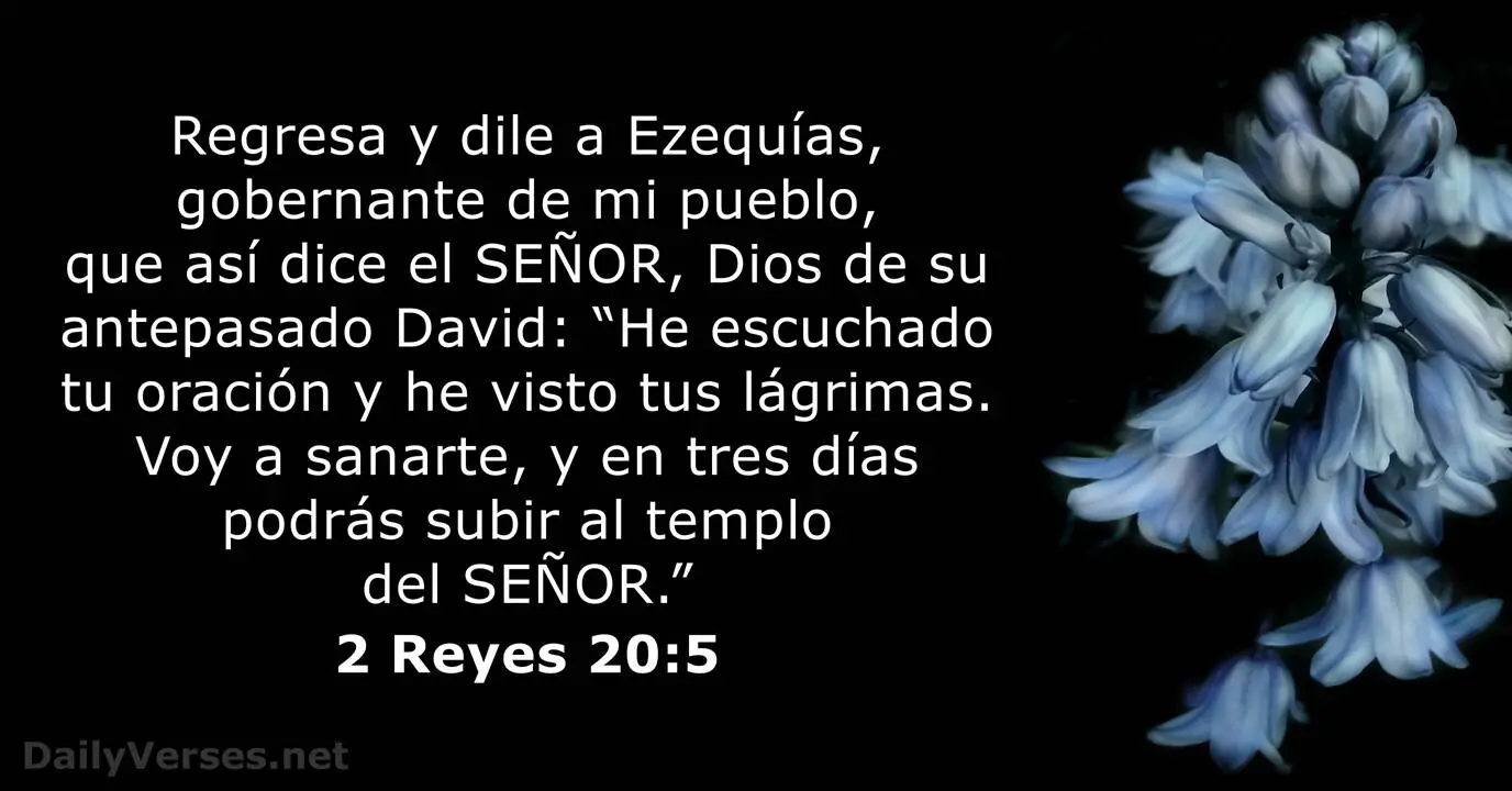 biblia segunda de reyes - Qué dice en la Biblia 2 de Reyes