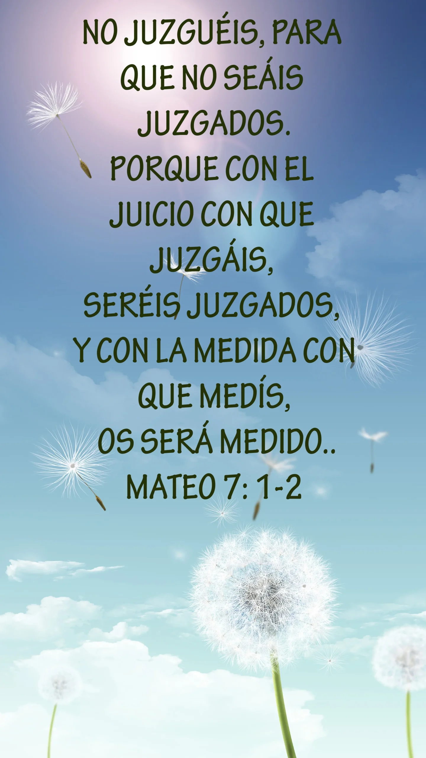 frases de la biblia mateo - Qué dice en Mateo 19 14