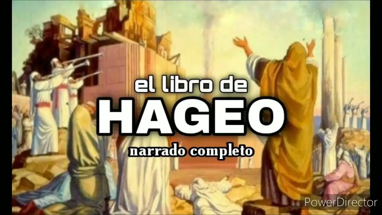 ageo biblia - Qué dice Hageo 28 en la Biblia