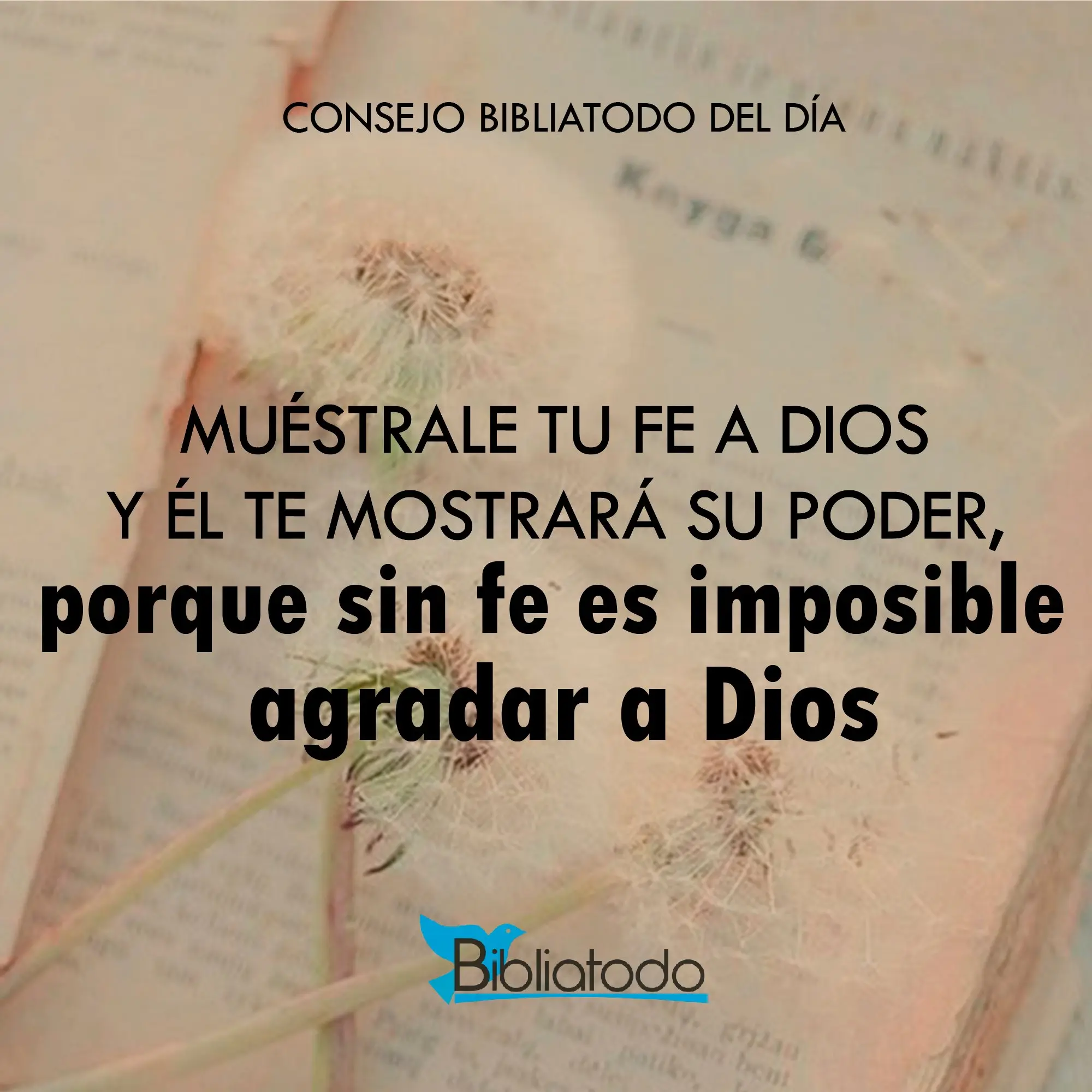 biblia sin fe es imposible agradar a dios - Qué dice Hebreos 11 11