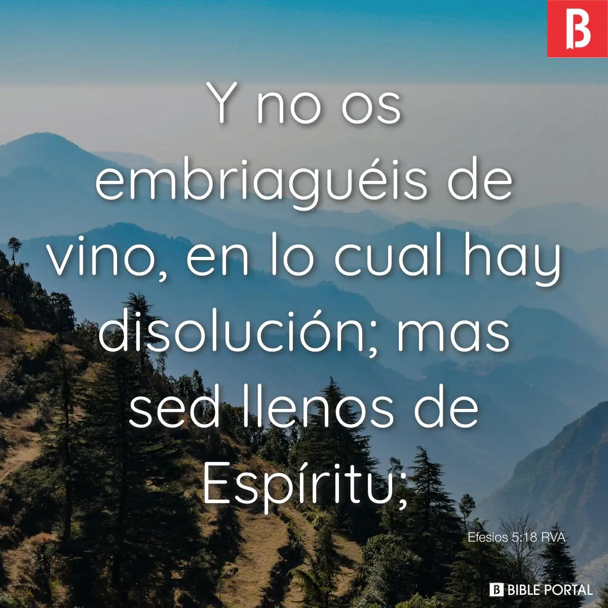 pasajes de la biblia sobre el alcohol - Qué dice la Biblia acerca de la borrachera