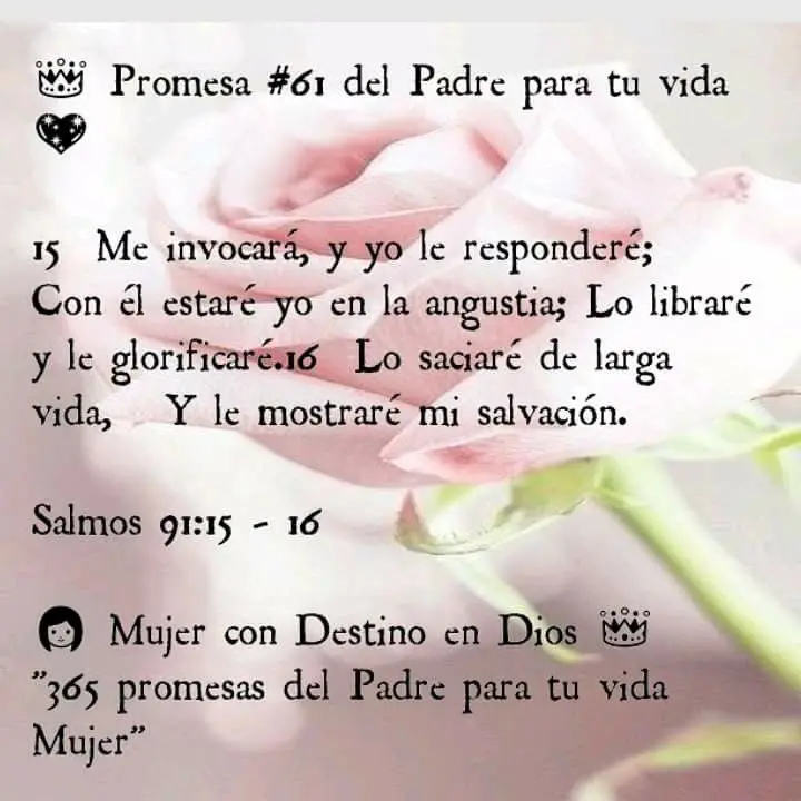 promesas de larga vida en la biblia - Qué dice la Biblia de la larga vida