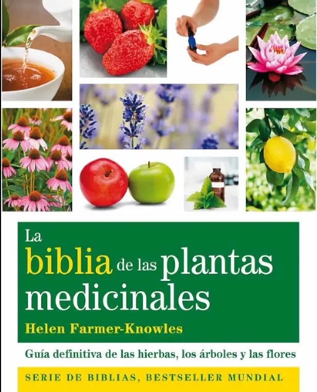 las plantas son medicina biblia - Qué dice la Biblia de las plantas