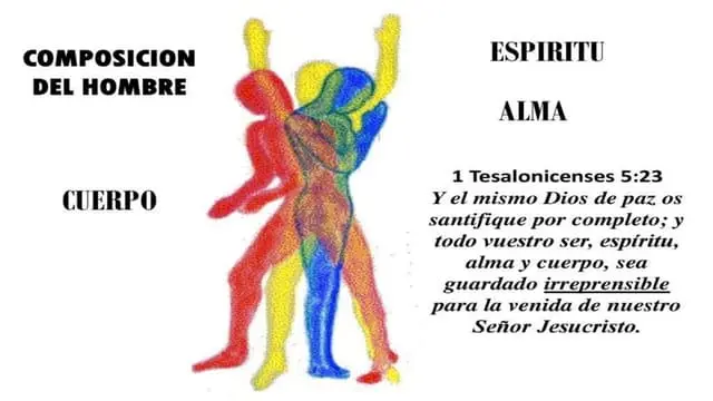 alma y espiritu es lo mismo segun la biblia - Qué dice la Biblia del cuerpo alma y espíritu