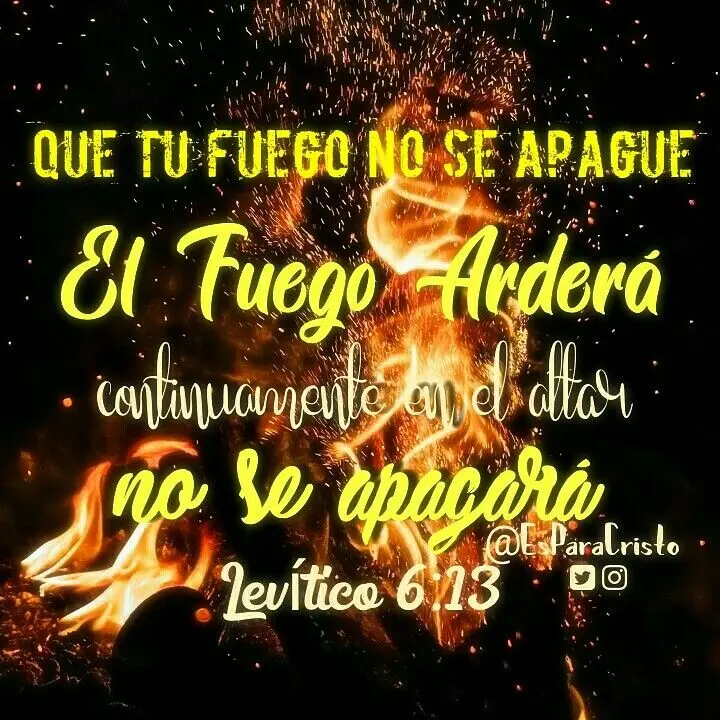 el fuego no se apagará biblia - Qué dice Levítico 6 12