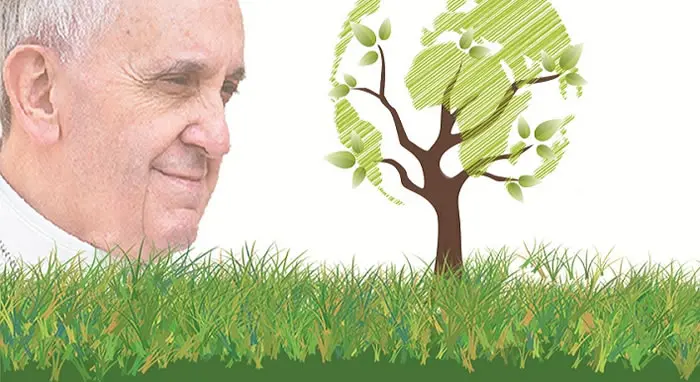 la iglesia catolica y el medio ambiente - Qué dijo el Papa sobre el medio ambiente