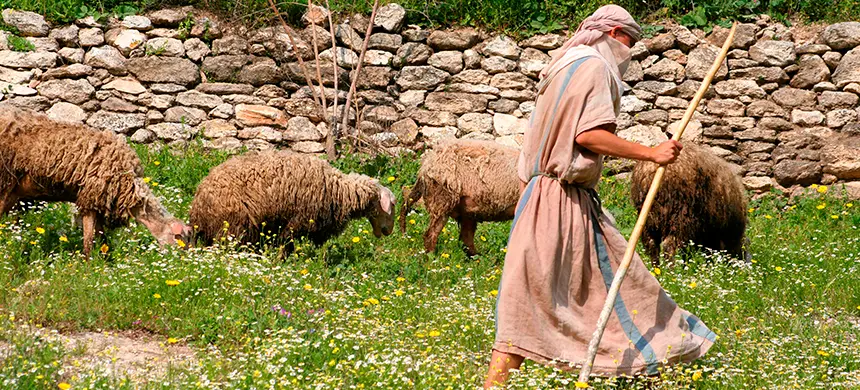 que es rebaño segun la biblia - Qué dijo Jesús acerca del rebaño