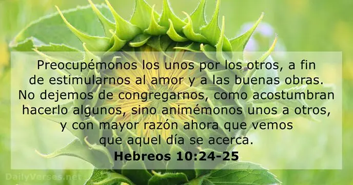 unidad en la biblia - Qué dijo Jesús de la unidad