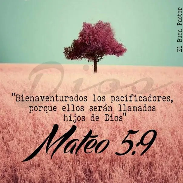 frases de la biblia mateo - Qué dijo Mateo en la Biblia