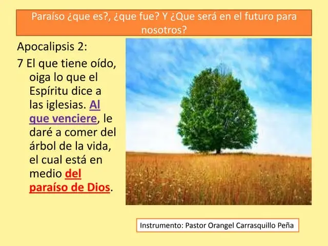 donde se encuentra el paraiso segun la biblia - Qué es el paraíso según la Biblia