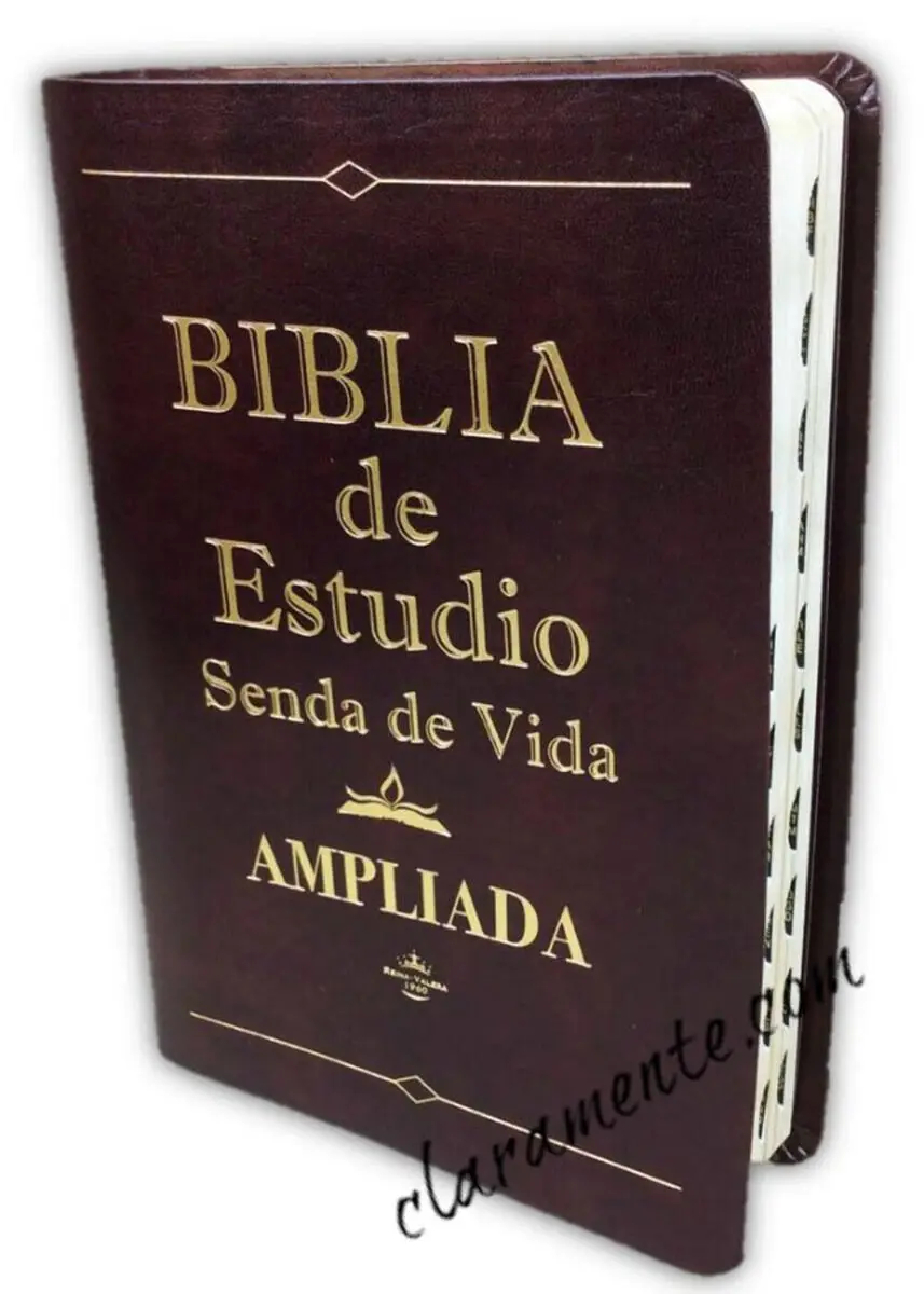 biblia ampliada - Qué es la versión ampliada de la Biblia