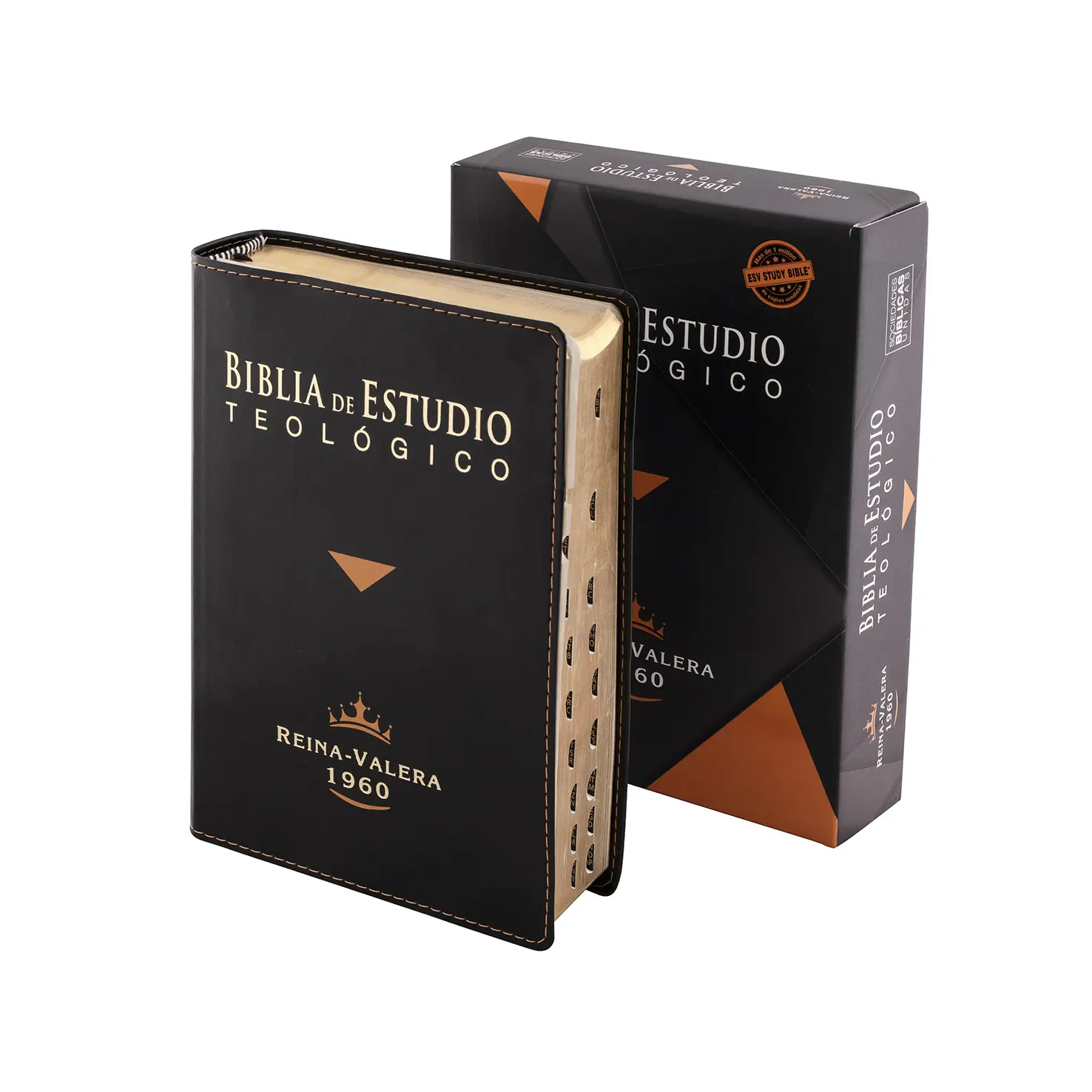 biblia de estudio teologico - Qué es un estudio biblico teológico