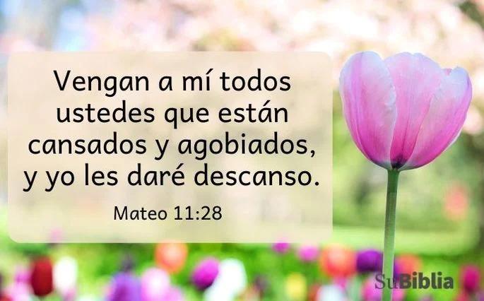 frases de la biblia para despedir a un ser querido - Que escribir para despedir a un ser querido