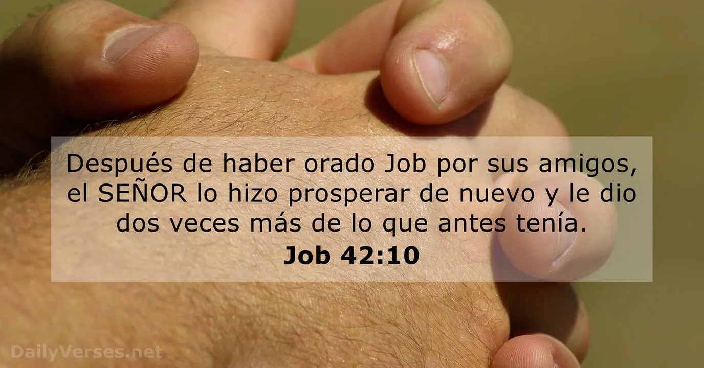 job oró por sus amigos biblia - Qué le dijo Dios a los amigos de Job