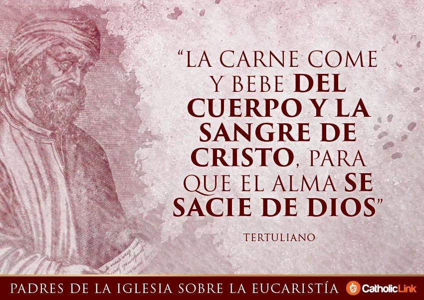 frases de la misa catolica - Qué palabras dice el Padre en la Misa