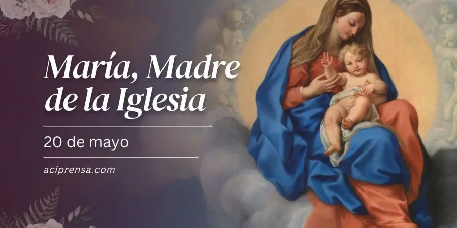 misa maria madre de la iglesia - Qué Papa estableció la fiesta de María Madre de la Iglesia