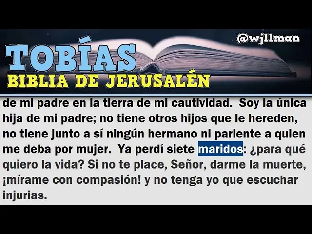 resumen del libro de tobias de la biblia - Qué parte de la Biblia habla de Tobías