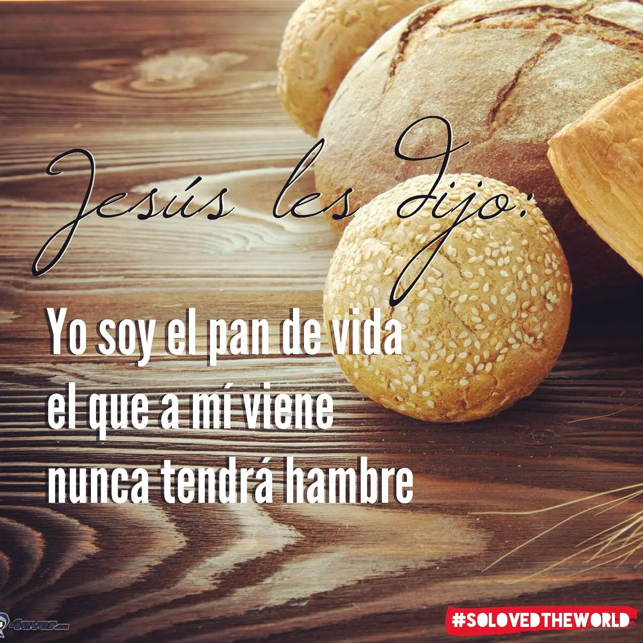 yo soy el pan de vida biblia - Qué quiere decir Juan 6 35