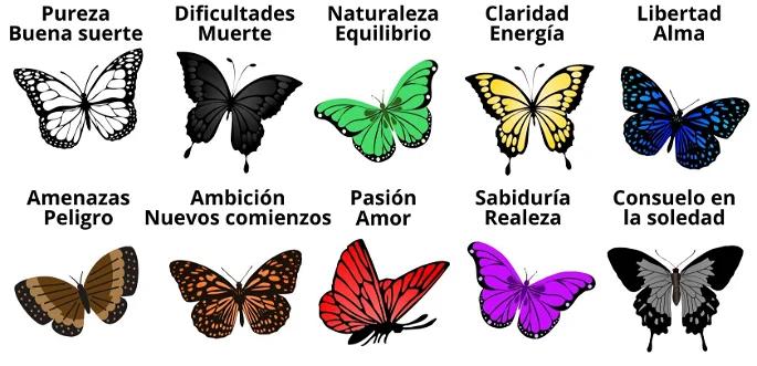 las mariposas segun la biblia - Qué representa la mariposa espiritualmente