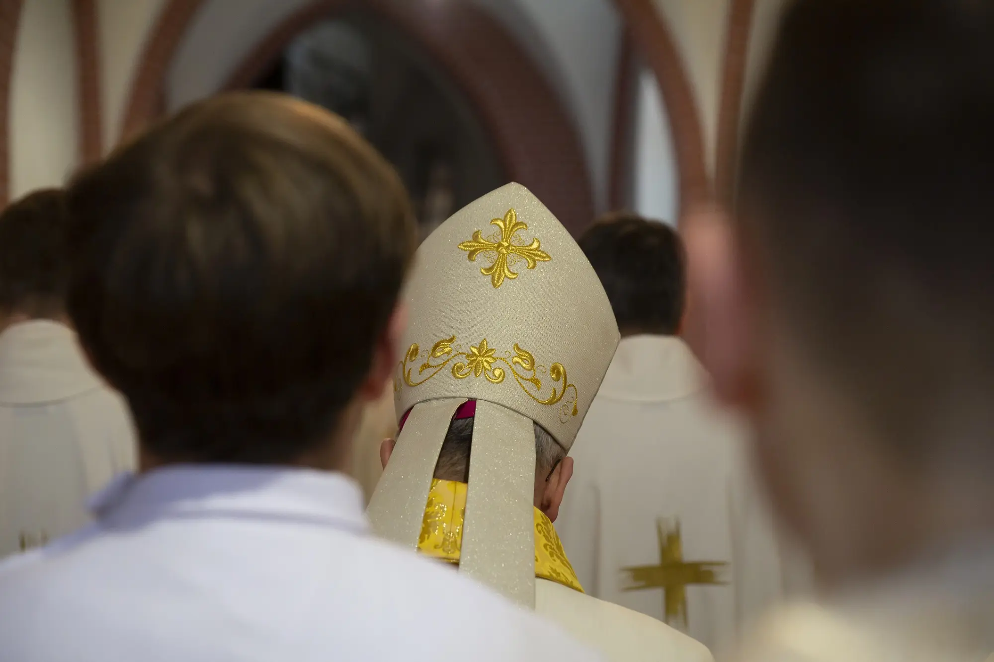 colegialidad en la iglesia - Qué significa colegialidad en Escuela de Pastoral