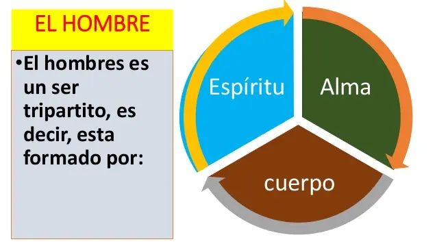 somos tripartitos biblia - Qué significa la palabra tripartito en la Biblia